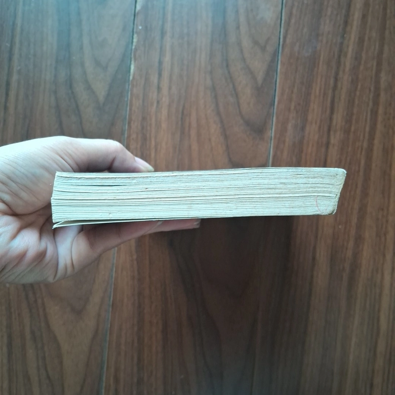 Một ngày không nói dối 505290