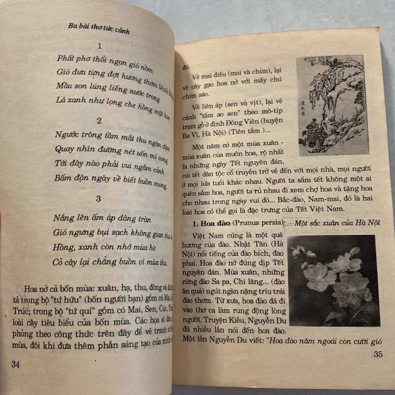 Thú chơi hoa cảnh non bộ xưa và nay - Phạm Kế - 1994s 800626