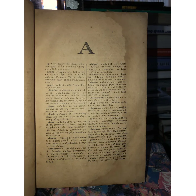 Anh - Việt - Pháp từ điển - Ngô Vũ & Thanh Nghị 970037