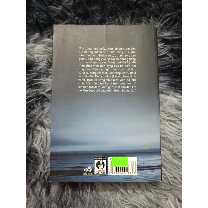 Moon palace (Paul Auster) 604268