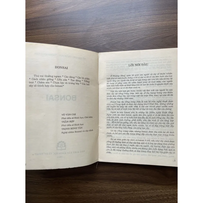 Bonsai 🌿🌿 961565