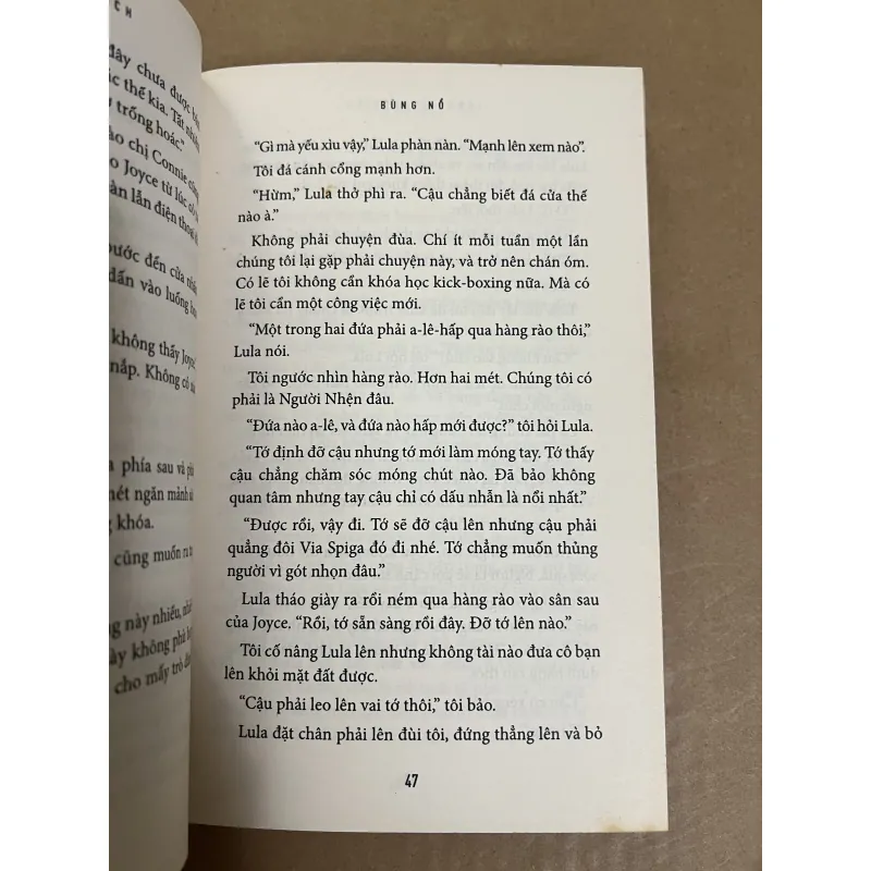 Bùng Nổ Janet Evanovich 1022556