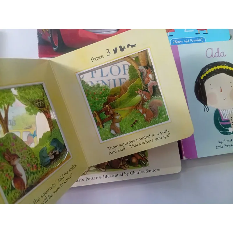 Set Boardbook 993537