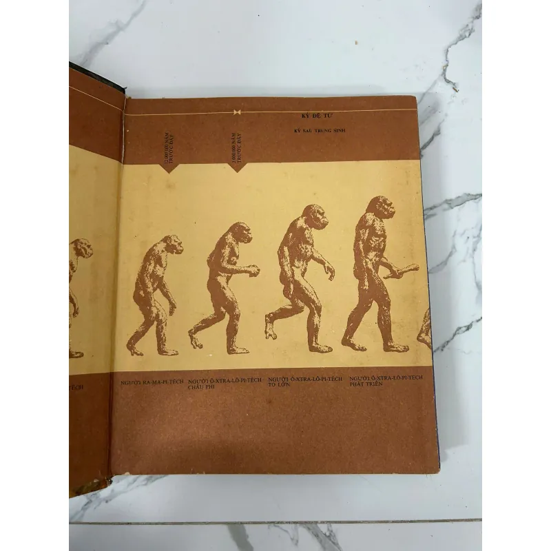 Con người trở thành khổng lồ - M. I-lin và E. Xê-gan 781189