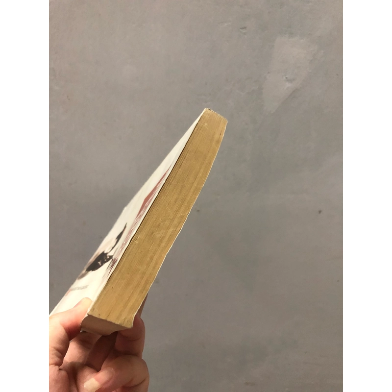 Thi pháp truyện Kiều - Trần Đình Sử (bản in 2007, giấy vàng như SGK xưa) 360959