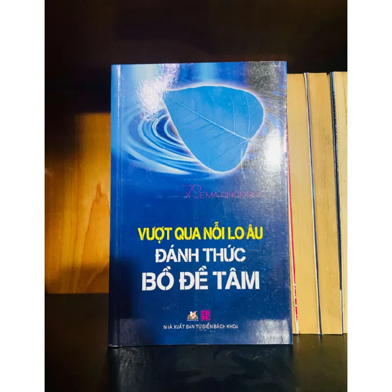 [Sách Cũ SCGR] Vượt qua nỗi lo âu đánh thức Bồ Đề Tâm TÂM LINH - TÔN GIÁO - THIỀN VAVO0810 676043
