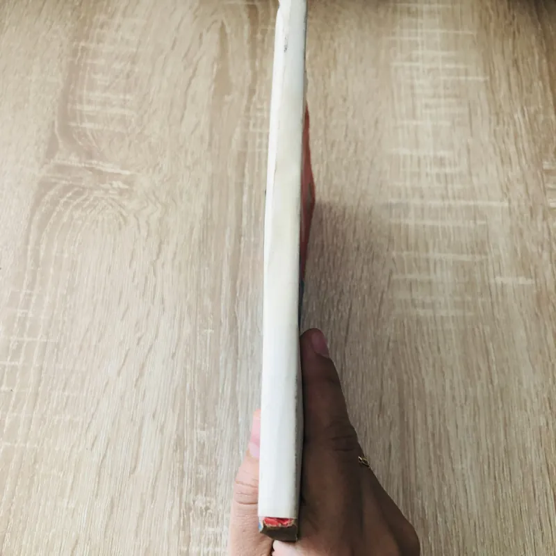 LÝ LUẬN VÀ PHƯƠNG PHÁP HUẤN LUYỆN THỂ THAO 1042334