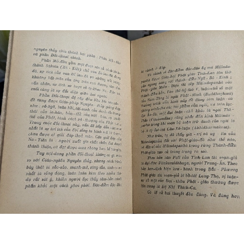 Kinh na tiên tỳ kheo - Cao Hữu Đính 536169
