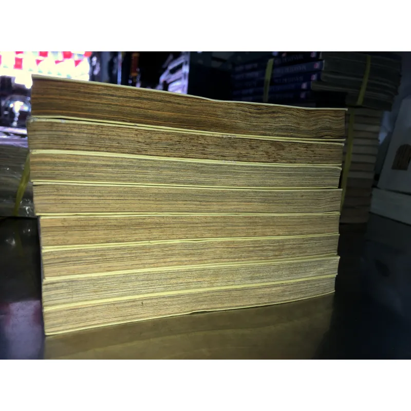 Hồi ức vàng - Shigeru Takao 973750