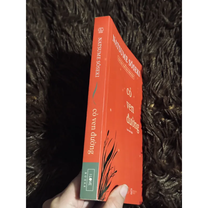 Cỏ ven đường 999175