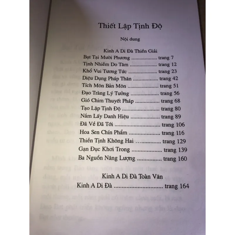 Thiết Lập Tịnh Độ-Nhất Hạnh 956883