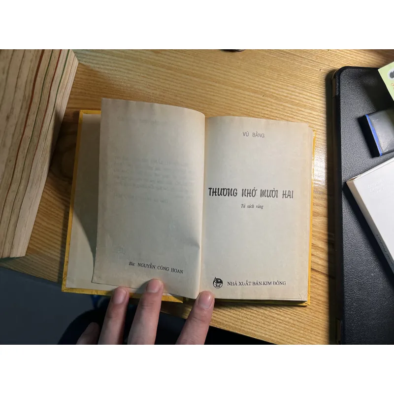 Thương nhớ mười hai 689499