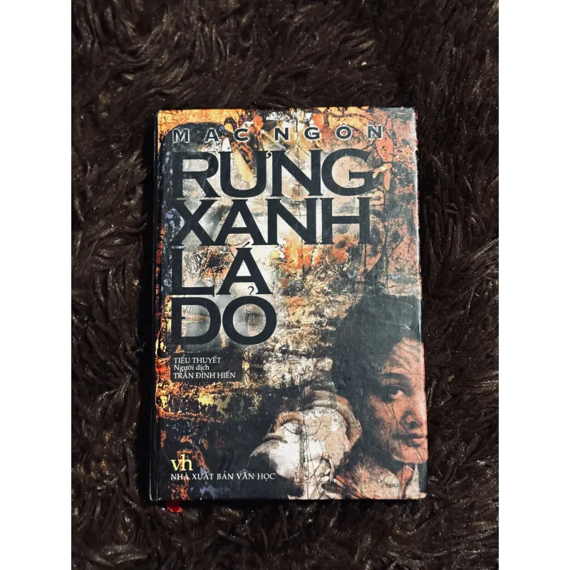 Rừng xanh lá đỏ 1001641