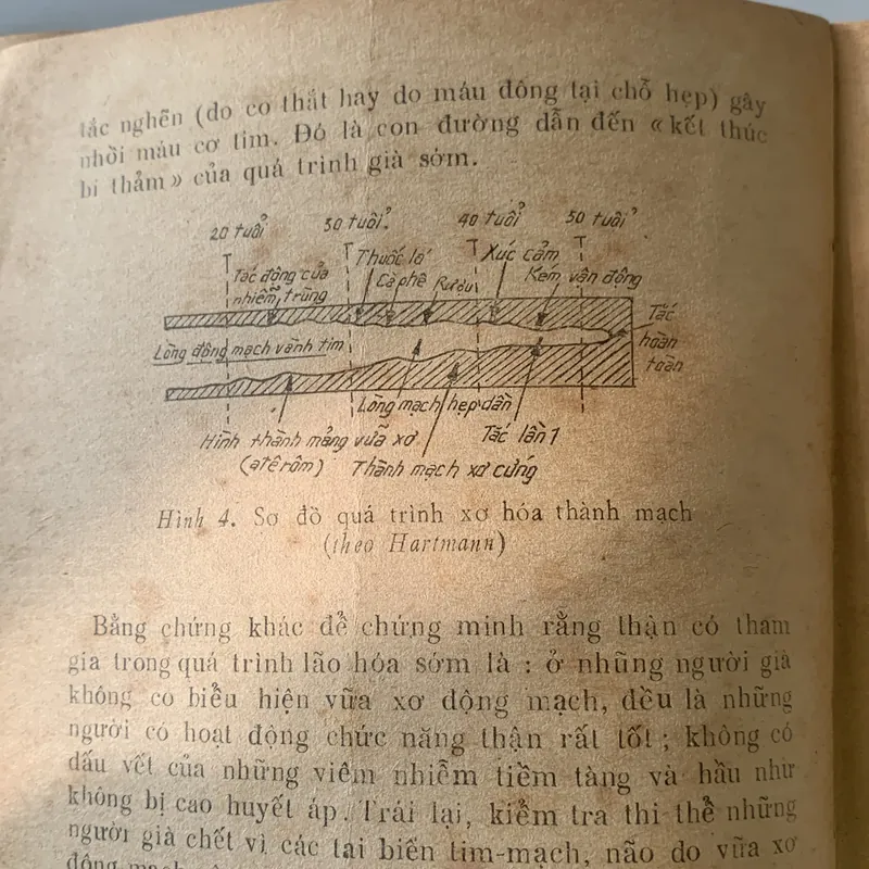 Tuổi già và thận, Tiến sĩ y khoa Hoàng Tuấn 709386