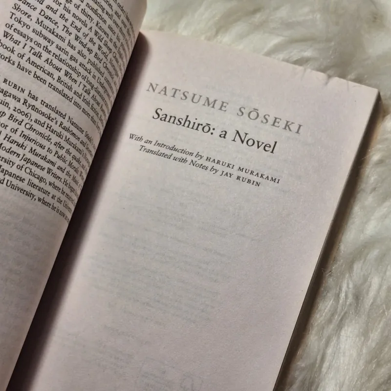 Natsume - Soseki Sanshiro 957124
