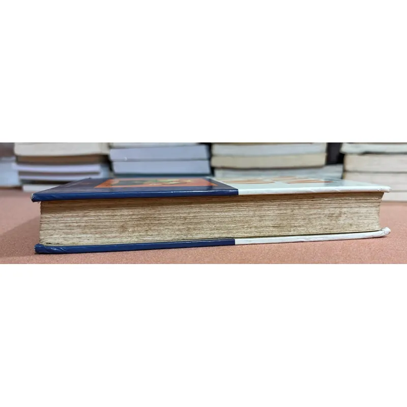 Tuyển tập Nam Cao tập 2 🌊 599643