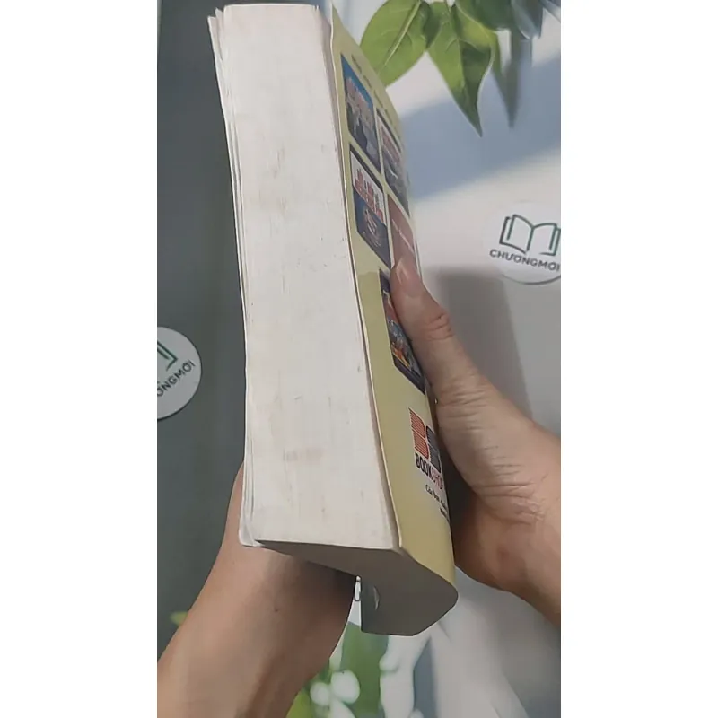 Kỹ thuật đầu tư trực tiếp nước ngoài - GS TS Võ Thanh Thu 688445