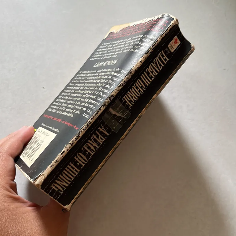 A place of hiding - Elizabeth George 673869