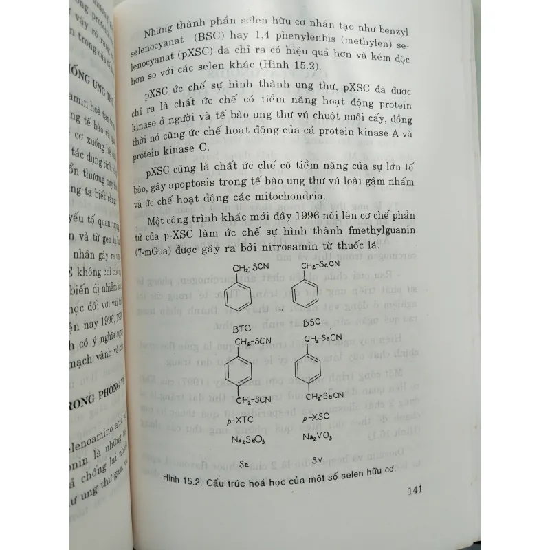 PHÒNG BỆNH UNG THƯ  996062