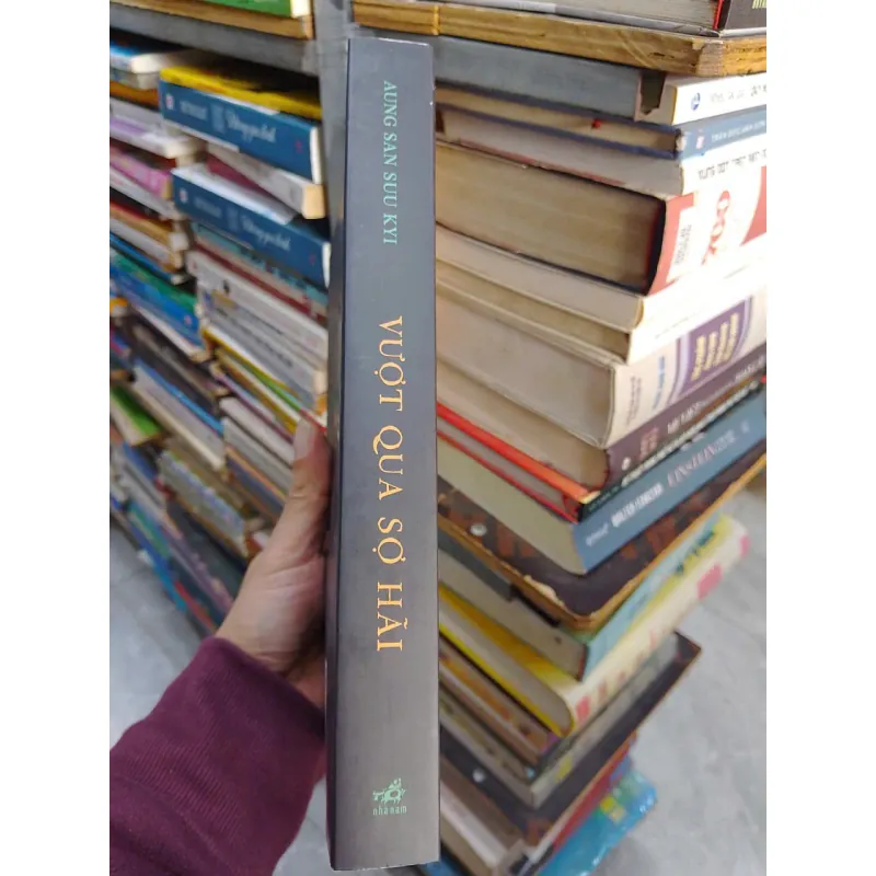 Sách - Vượt qua sợ hãi 788385