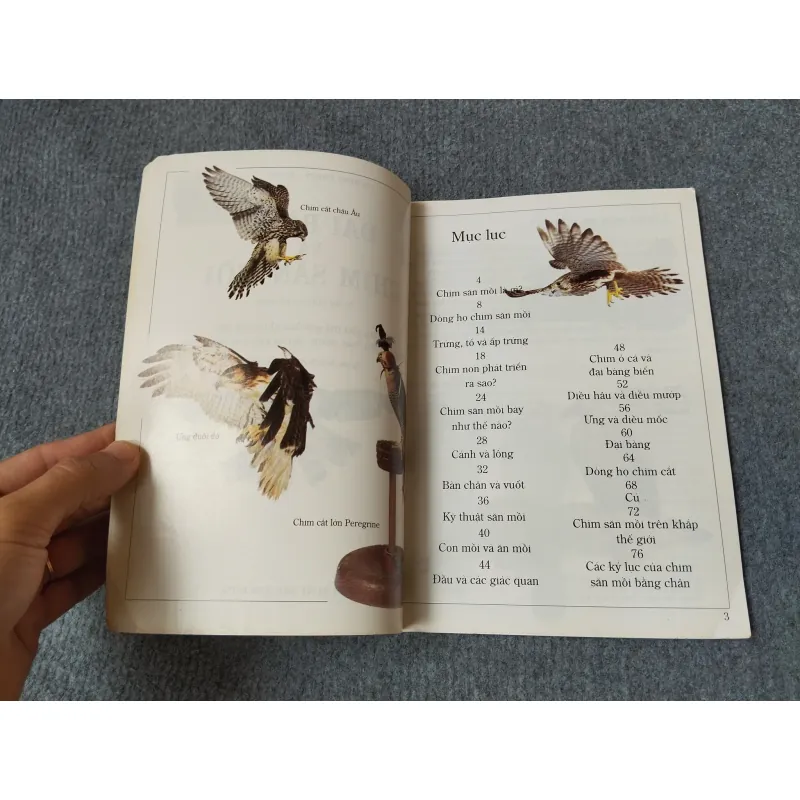 ĐẠI BÀNG - TỦ SÁCH KIẾN THỨC THẾ HỆ MỚI 720727