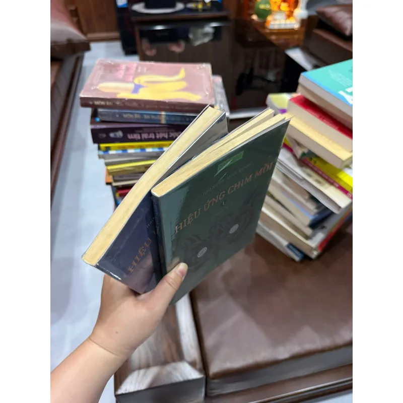 Combo 2 Sách Hiệu Ứng Chim Mồi – Hạo Nhiên, Quốc Khánh- K2 1000202