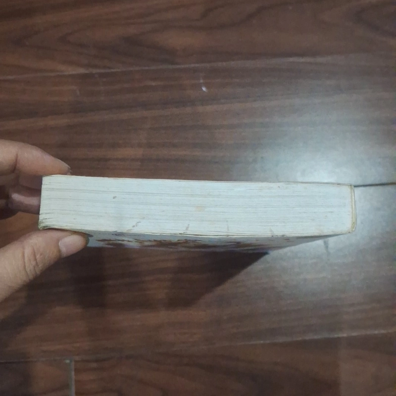 Trên sa mạc và trong rừng thẳm 524067