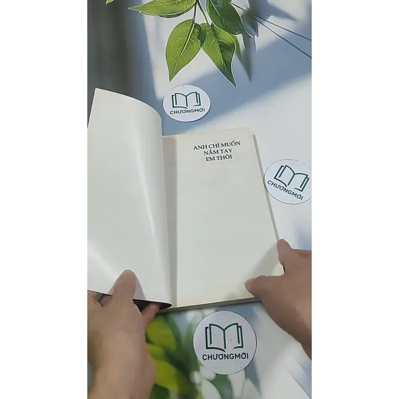 Anh chỉ muốn nắm tay em thôi - Emily Rose 694967