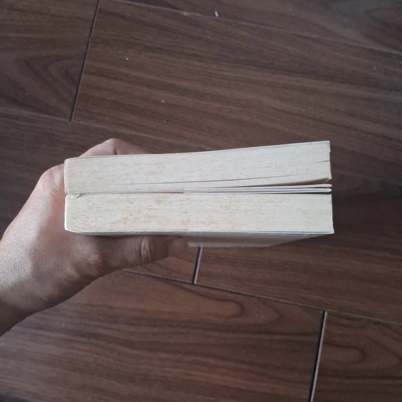 Kí ức vụn (2 tập)  - nguyễn quang lập 523187