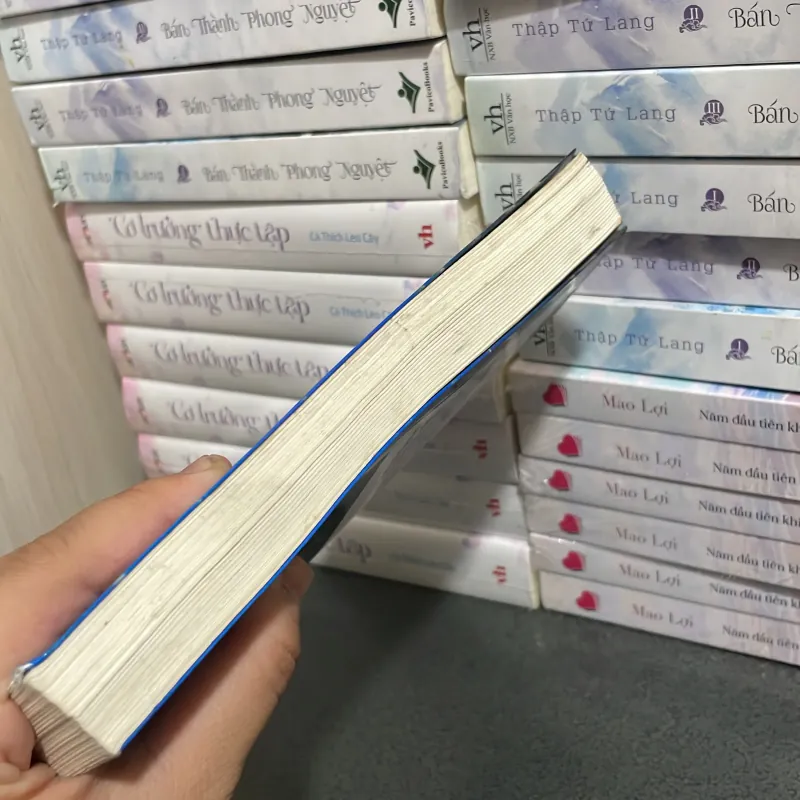 (Văn học) - Lâu đài bay của pháp sư Howl - Diana Wynne Jones 1003813