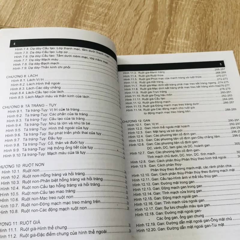 GIẢI PHẪU NGƯỜI - GIẢI PHẪU NGỰC BỤNG 989633