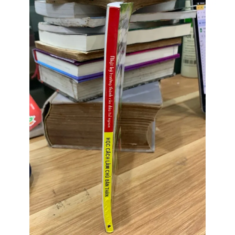 Nhật ký trưởng thành của đứa trẻ ngoan: Học cách làm chủ bản thân- Haohaizi Chengzhang Riji 699085