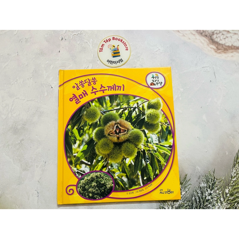 𝐒𝐞́𝐭 𝐬𝐚́𝐜𝐡 𝐪𝐮𝐚𝐧 𝐬𝐚́𝐭 𝐭𝐮̛̣ 𝐧𝐡𝐢𝐞̂𝐧 tiếng Hàn  푸른달 자연관찰(trọn bộ) 496923