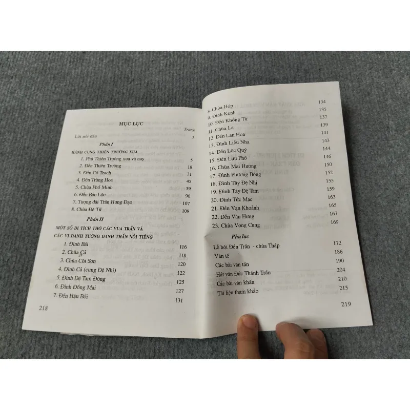 DI TÍCH LỊCH SỬ - VĂN HOÁ ĐỀN TRẦN - CHÙA THÁP TỈNH NAM ĐỊNH 717907