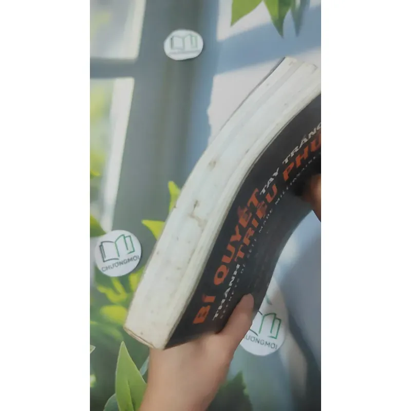 Bí Quyết Tay Trắng Thành Triệu Phú - Adam Khoo 1018948