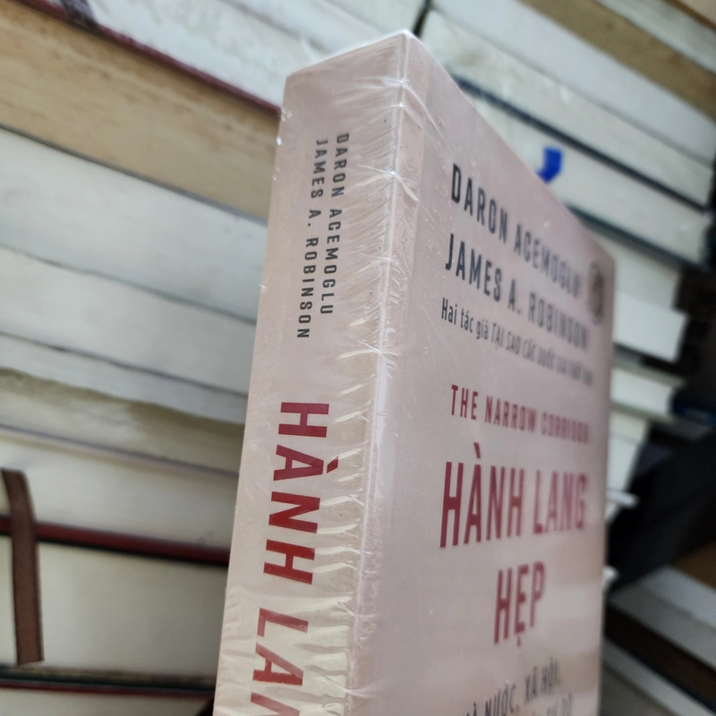 Hành lang hẹp nhà nước, xã hội, và vận mệnh của tự do | Daron Acemoglu. J. Robinson 551553