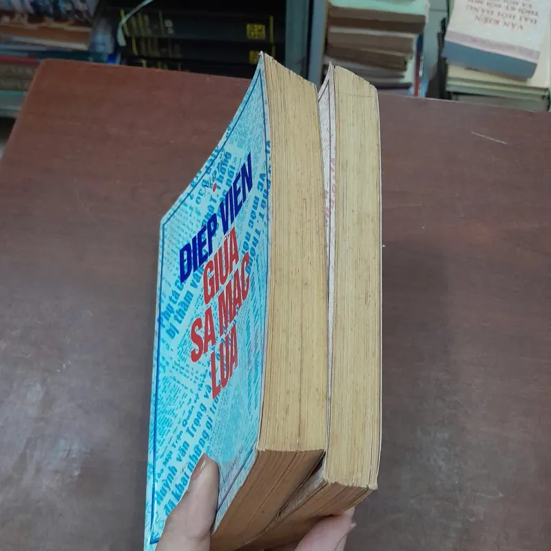 ĐIỆP VIÊN GIỮA SA MẠC LỬA - NHỊ HỒ 991674