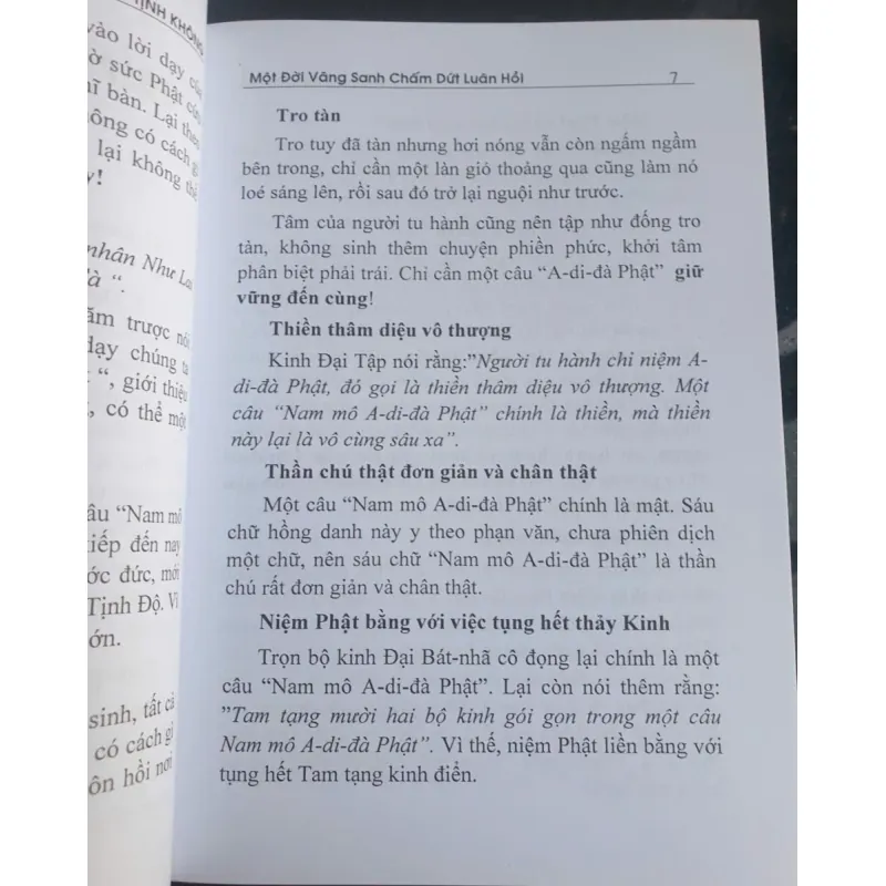 Một Đời Vãng Sanh Chấm Dứt Luân Hồi 737681
