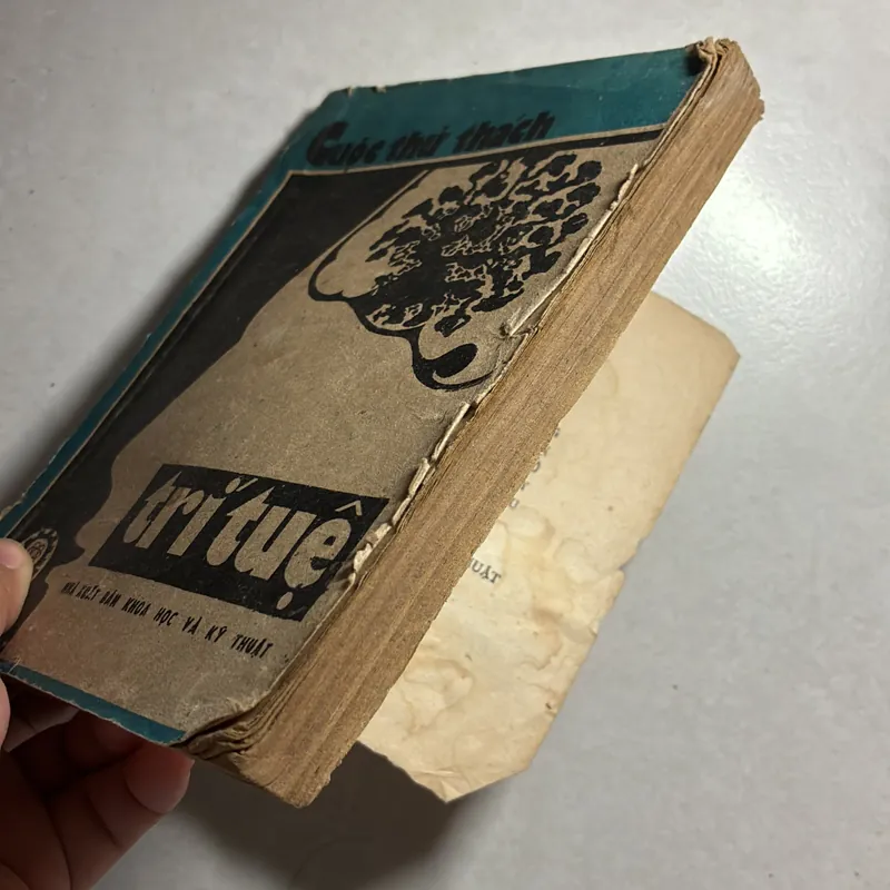 Cuộc thử thách trí tuệ 736540