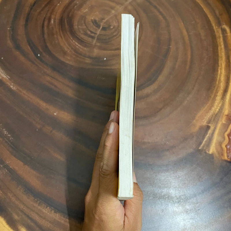 II Tựa sách: Chín Chúa _ Mười Ba Vua Triều Nguyễn - Tôn Thất Bình - 2016 444804