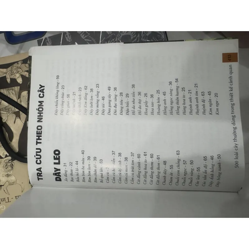 500 loài cây thường dùng trong thiết kế cảnh quan 929827