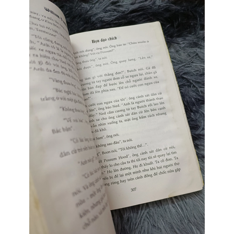 Bọn đạo chích (William Faulkner) 472802