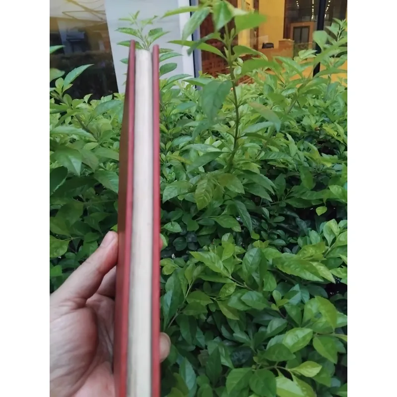 Robinson Crusoe của Daniel Defoe 974356