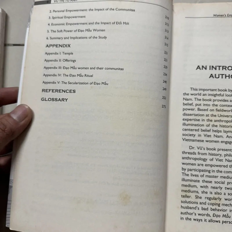 Đạo mẫu Việt Nam 699351