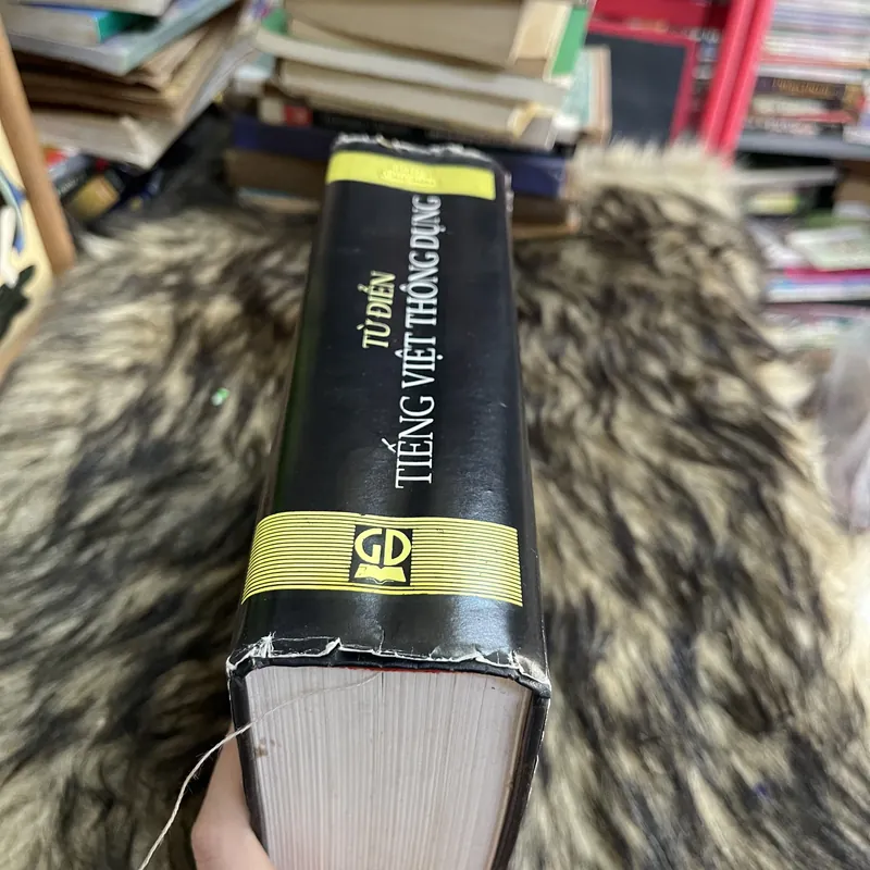 Từ điển tiếng Việt thông dụng  655565