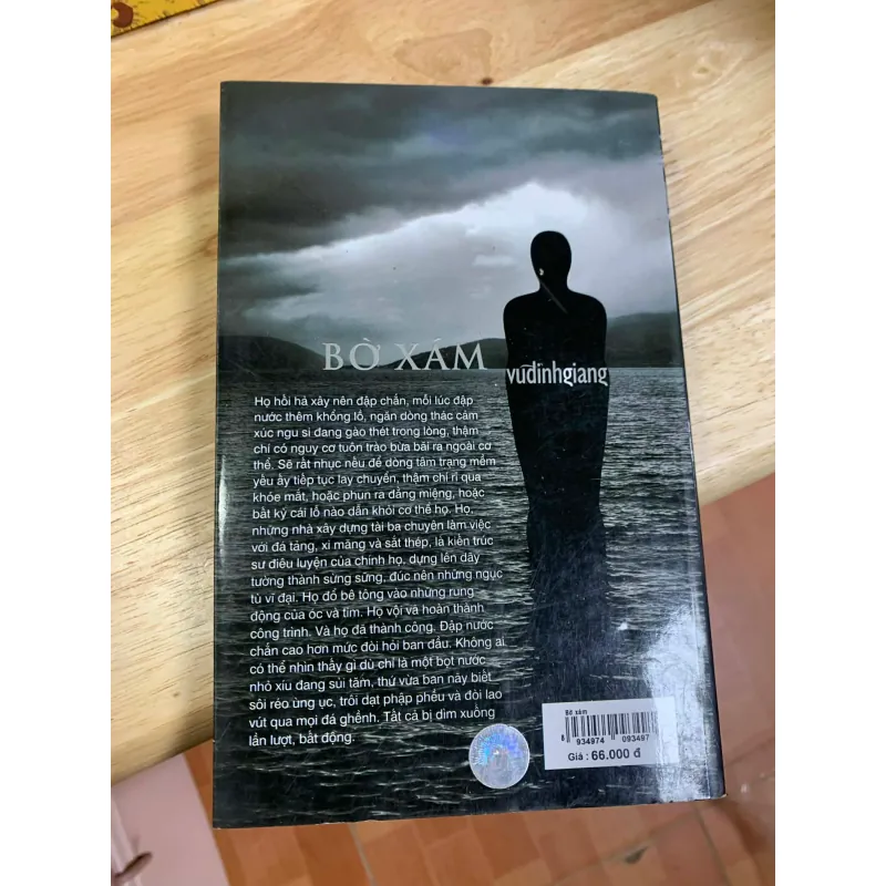 Bờ Xám - Vũ Đình Giang 928023