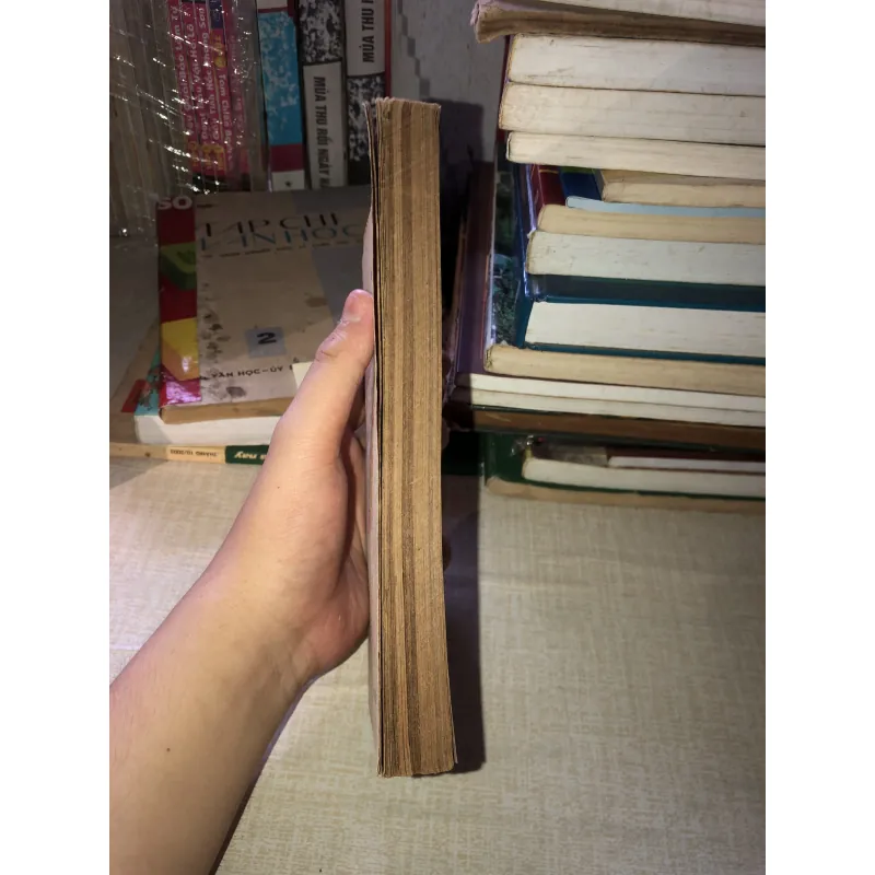 Lịch sử văn hoá việt nam 970644