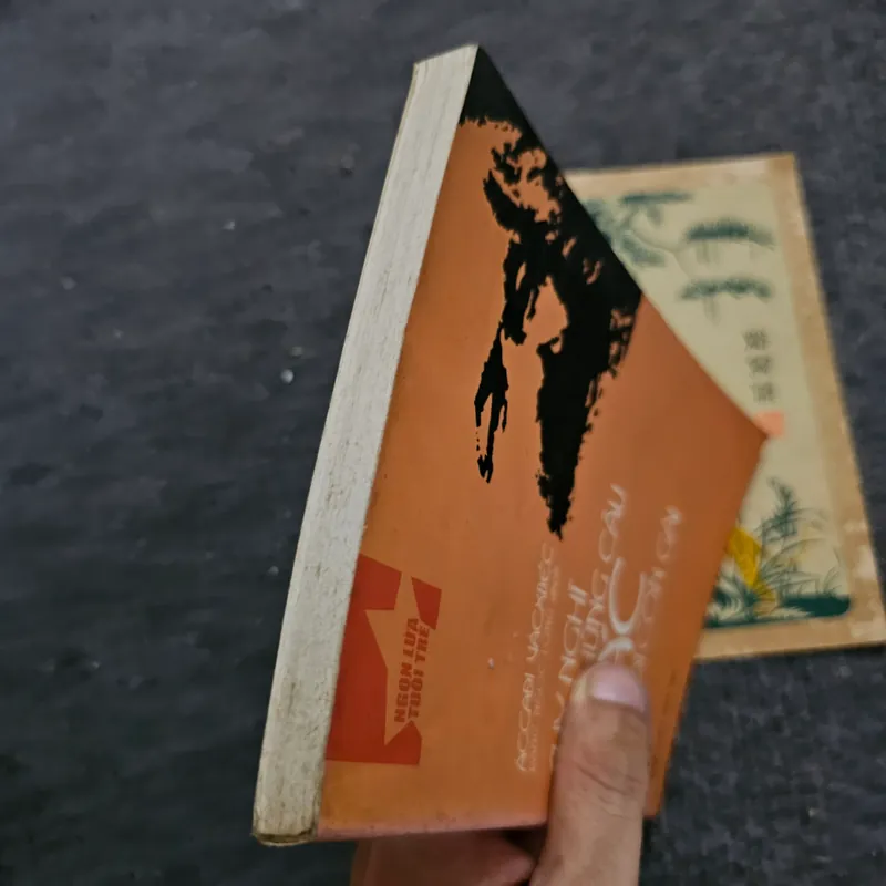 Suy nghĩ về những câu Mác trả lời con gái 734666