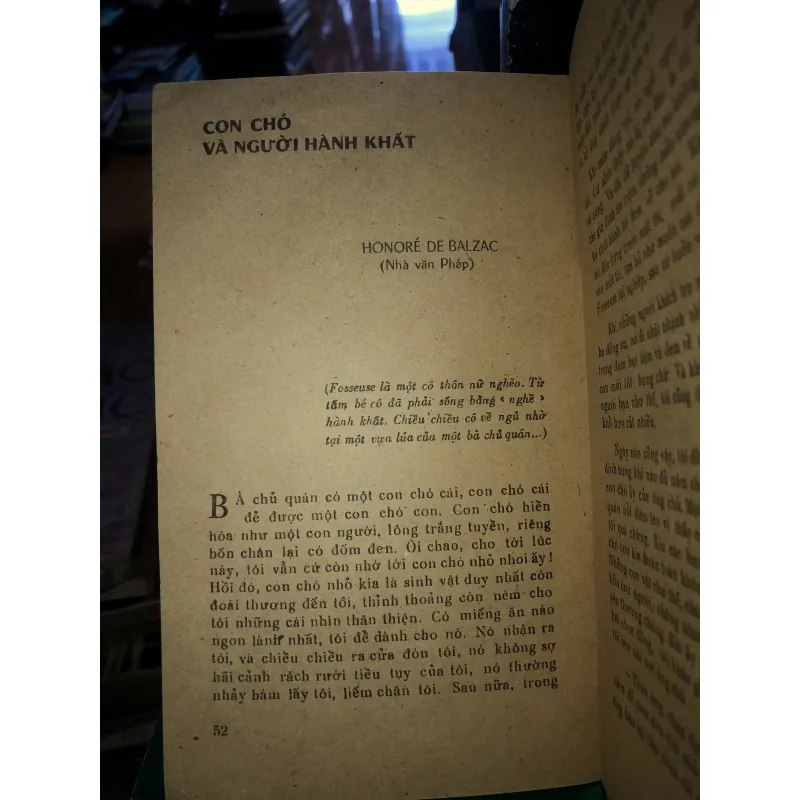 Người bạn mang bộ lông chim 786607