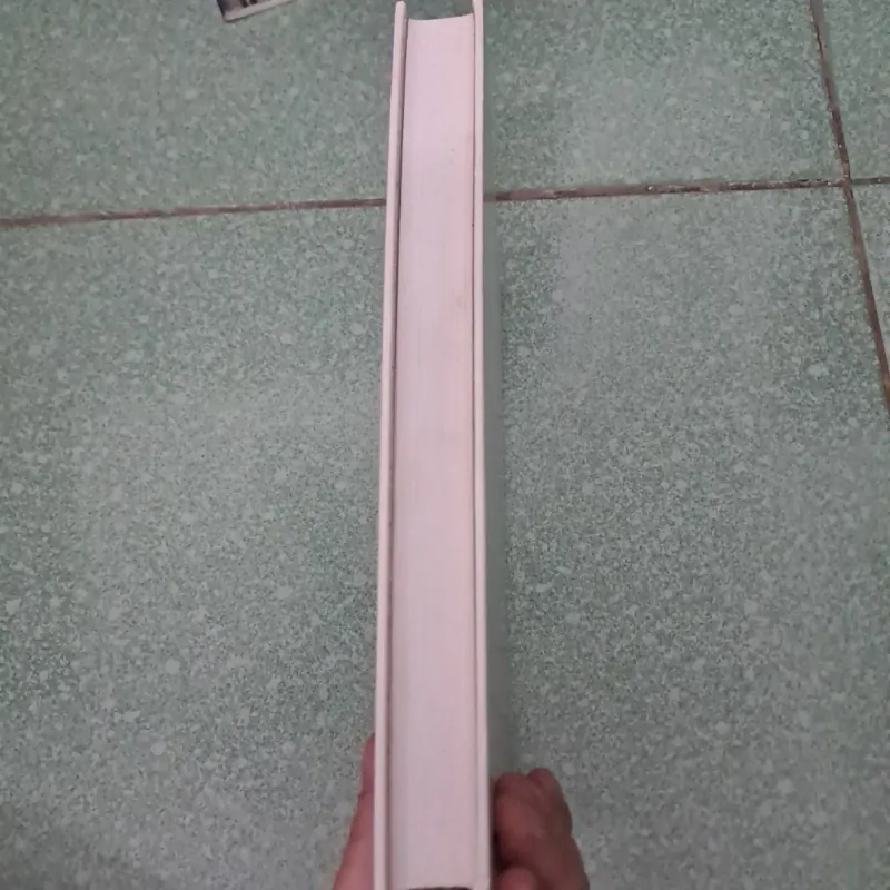 Global sustainability 997292